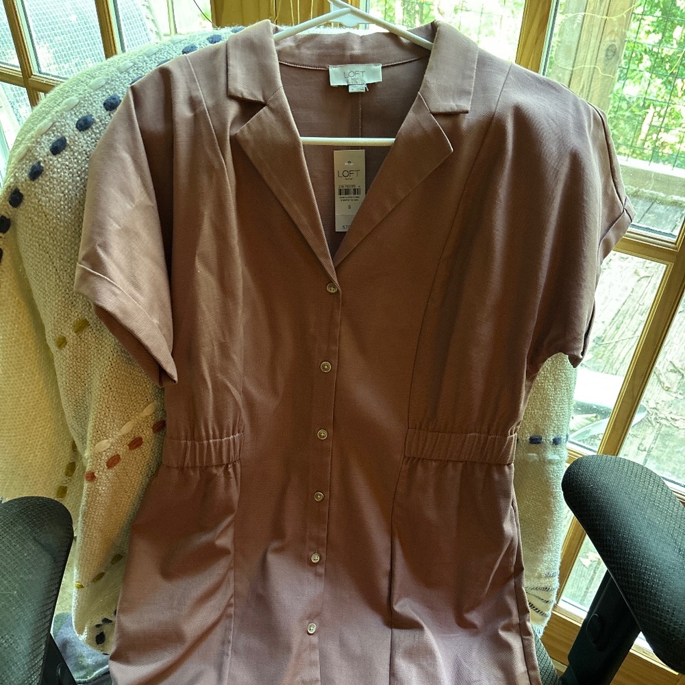 Cute, multiple season Anne Taylor Loft Dress,